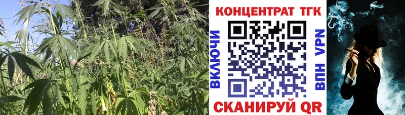 площадка как зайти  Татарск  ТГК концентрат 