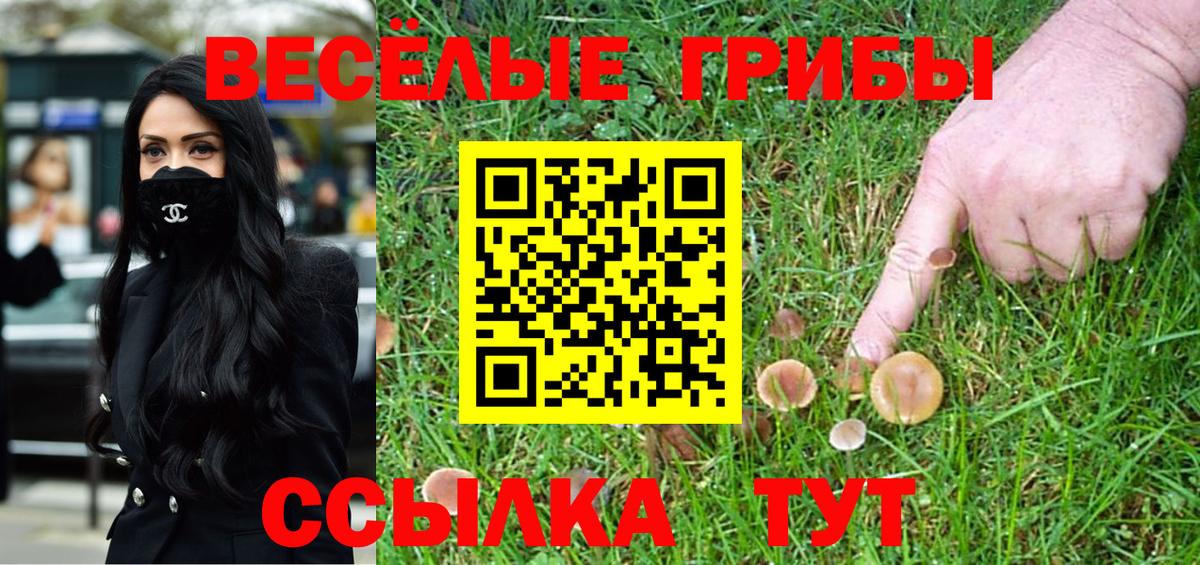 Татарск  купить закладку  Вход с VPN  Псилоцибиновые грибы прущие грибы 